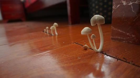 潮濕的地下室對(duì)人體有哪些危害？